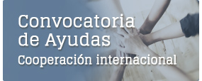 Convocatoria de ayudas a la cooperacin internacional
