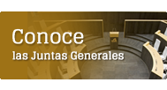 Conoce las Juntas Generales